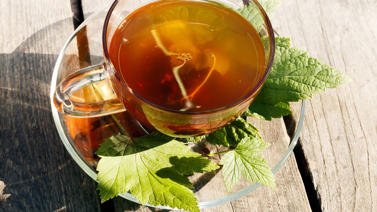 Egy átlátszó bögrében feketeribizli tea, zöld levelekkel díszítve.