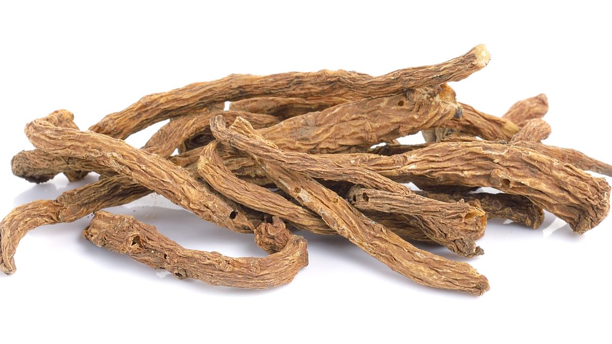 Száraz, barna színű Angelica Sinensis gyökerek egy fehér háttéren.